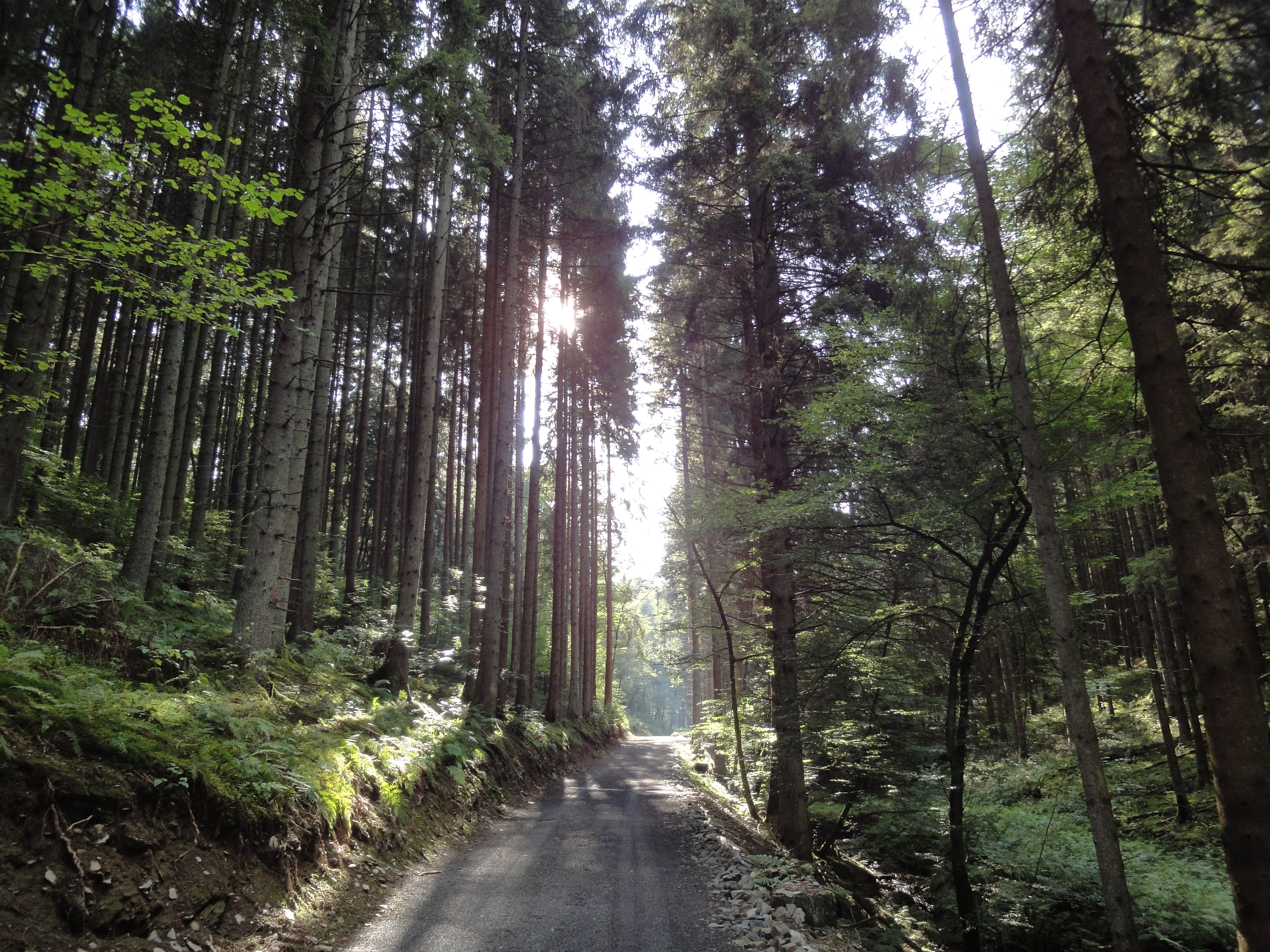 Tarchamps Landwirtschaftsportal Luxembourg