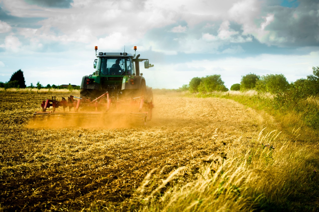 Ein Traktor zieht einen Pflug über ein abgeerntetes Weizenfeld.