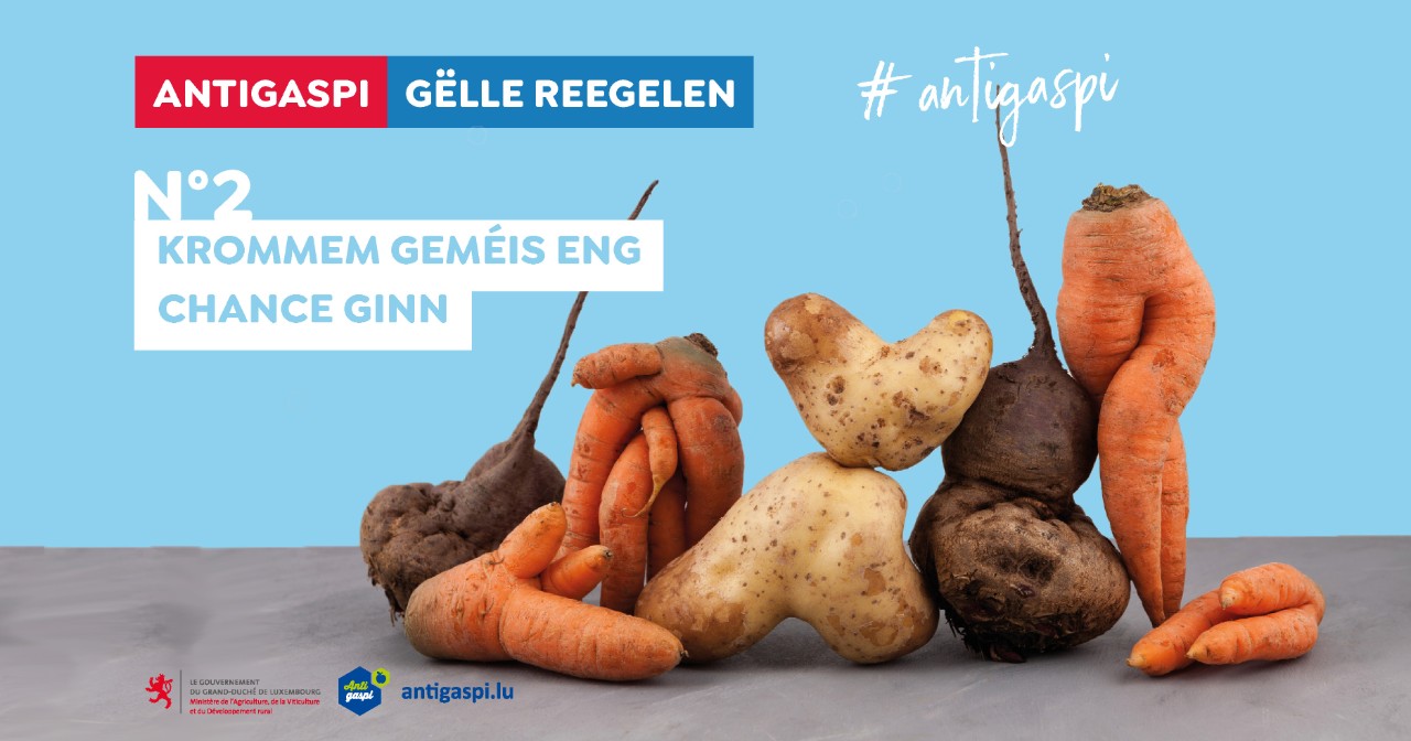Die goldene Regel Nummer 2 „Krummem Gemüse eine Chance geben“ ist mit Hilfe von schief gewachsenen Karotten und Kartoffeln illustriert. 