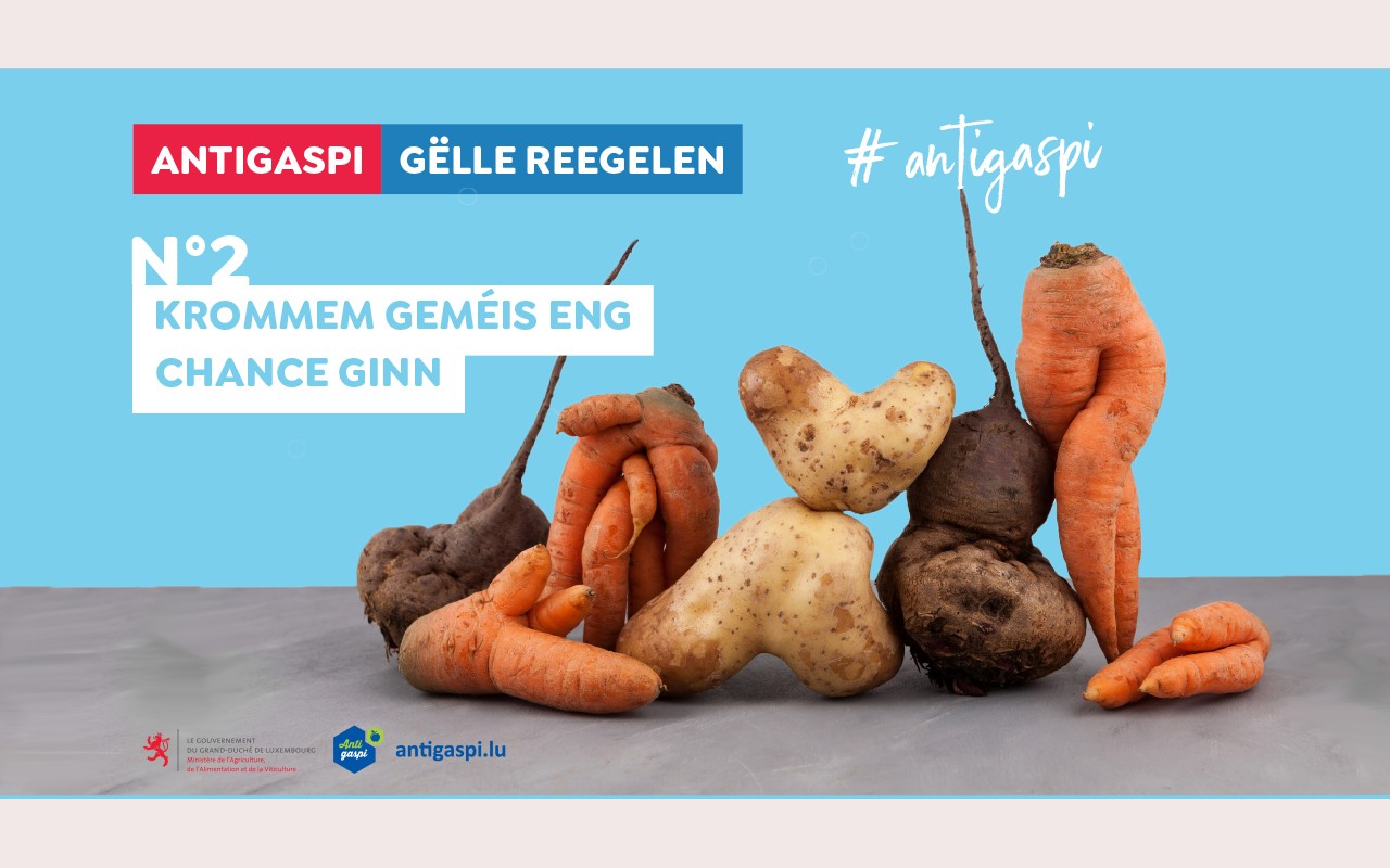 Parmi les nouveautés de cette année figurent un quiz en ligne qui permet d’élucider l’envergure du gaspillage alimentaire ainsi qu’un kit pédagogique proposant des activités liées au thème de l’alimentation à l’adresse des enfants fréquentant une maison relais.