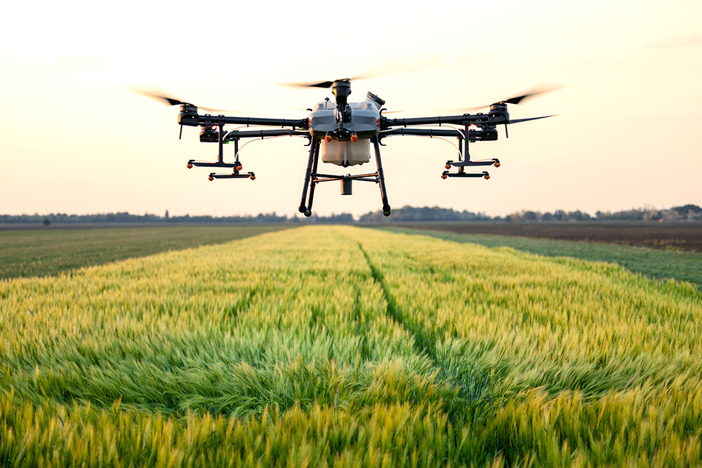 Das Projekt Precision entwickelt ein digitales Entscheidungshilfesystem, das Landwirten hilft, den Stickstoff- und Herbizideinsatz gezielt anzupassen.