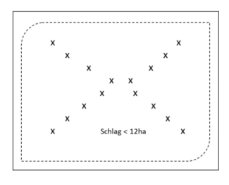 Bodenlabor Probenahme: Diagonal übers Kreuz (Ackerschlag < 12ha)