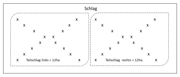 Bodenlabor Probenahme: Diagonal übers Kreuz (Ackerschlag > 12ha)