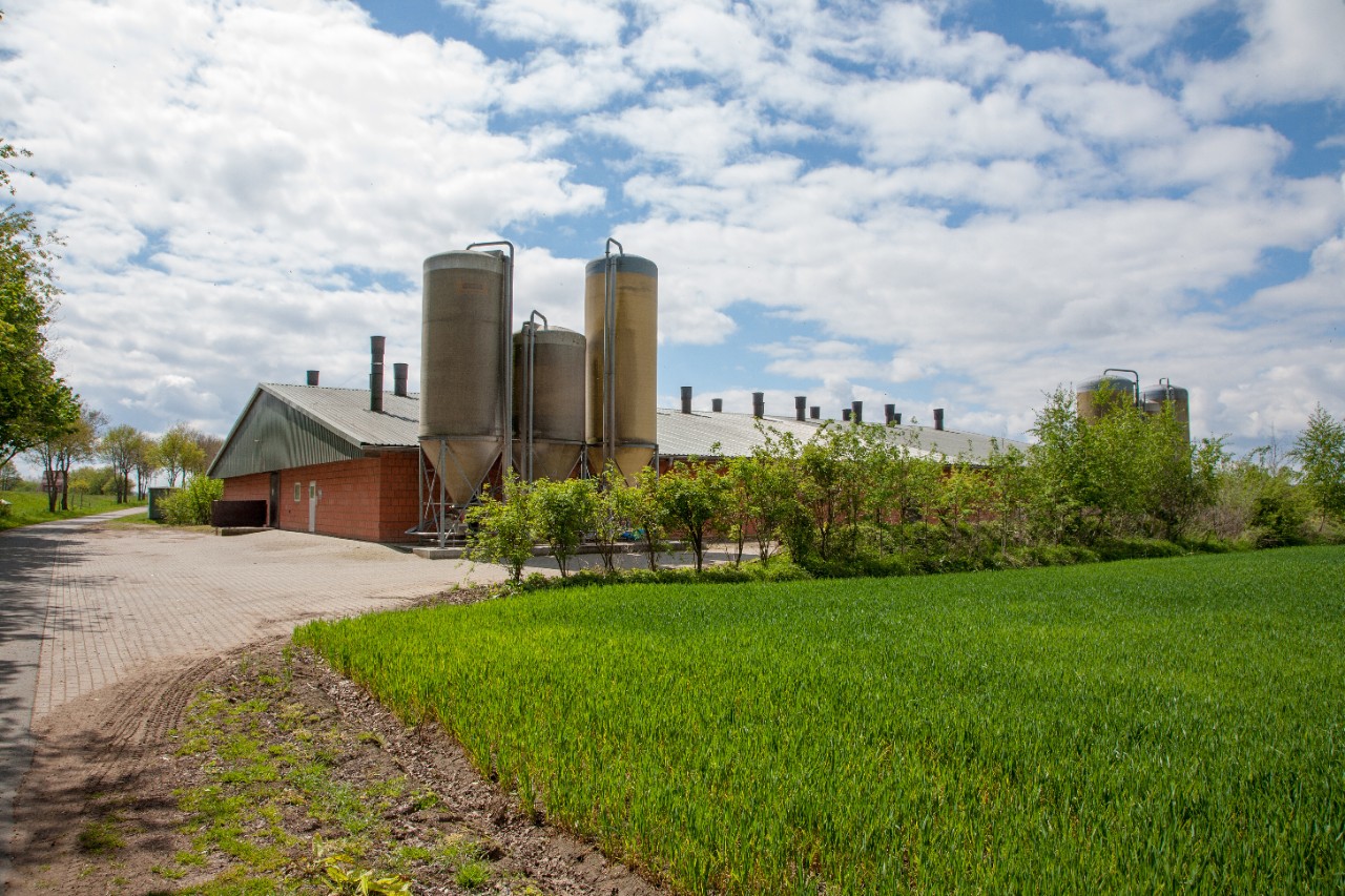 Futtermittel - Futtersilos eines Schweinestalls